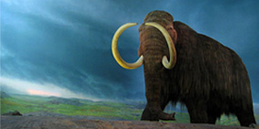 Sales Hunters Added to The Endangered Species List!