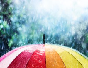 Are you a Rainmaker or a Rain Barrel???